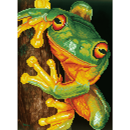 Frog Diamond Dotz Art sold by RQC Supply Canada an arts and craft store located in Woodstock, Ontario
