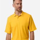 Campus Gold / S