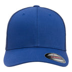 Royal Blue / One Size