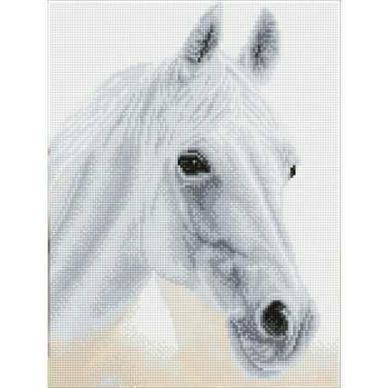 Arabian Beauty Horse Square Diamond Dotz Art sold by RQC Supply Canada an arts and craft store located in Woodstock, Ontario