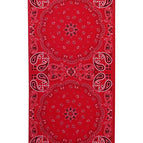 Red Paisley / One Size