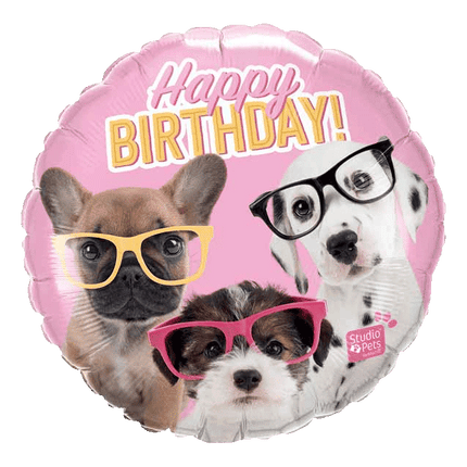 Happy Birthday Puppies wearing glasses foil mylar balloons sold by RQC Supply Canada an arts and craft store located in Woodstock, Ontario