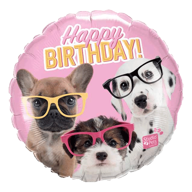 Happy Birthday Puppies wearing glasses foil mylar balloons sold by RQC Supply Canada an arts and craft store located in Woodstock, Ontario