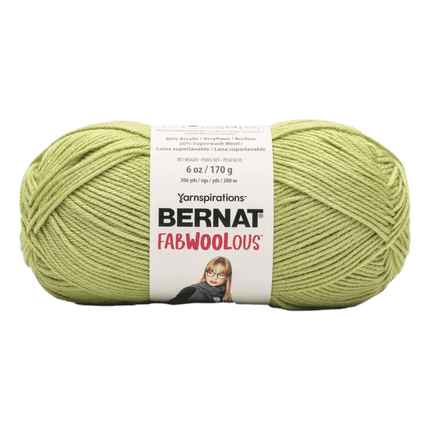 Bernat Fabwoolous Yarn sold by RQC Supply Canada an arts and craft store located in Woodstock, Ontario showing lime colour