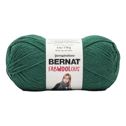 Bernat Fabwoolous Yarn sold by RQC Supply Canada an arts and craft store located in Woodstock, Ontario showing pine colour