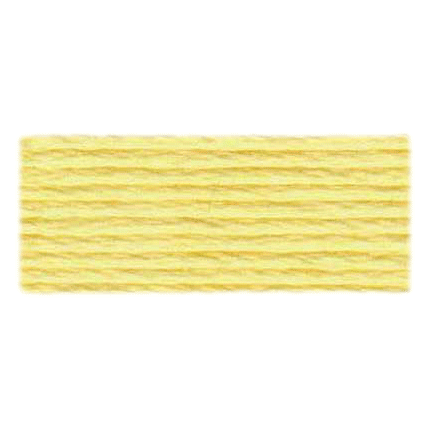 DMC Needlework Threads #117 Cotton 6 Strand Floss 8m #915 - 3706