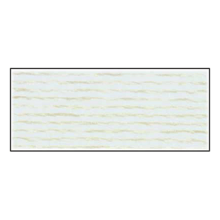 DMC Needlework Threads #117 Cotton 6 Strand Floss 8m #3865-251BLANC