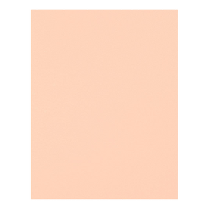 8.5" x 11" Stash Builder Scrapbooking Paper Textured 65lb - PA