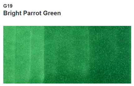 Bright Parrot Green Copic Ink Markers sold by RQC Supply Canada located in Woodstock, Ontario