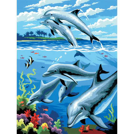 Junior Painting By Numbers, Small - Dolphins