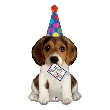 Happy Birthday Puppy Mylar Balloon sold by RQC Supply Canada located in Woodstock Ontario