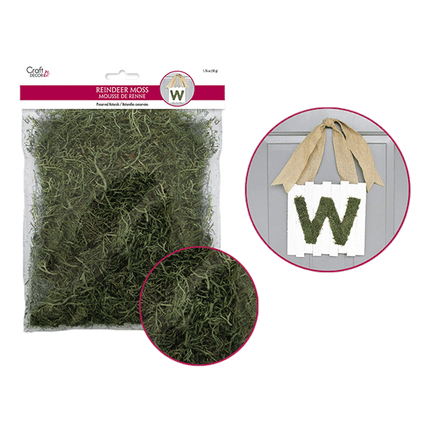 Reindeer Moss sold by RQC Supply Canada located in Woodstock, Ontario