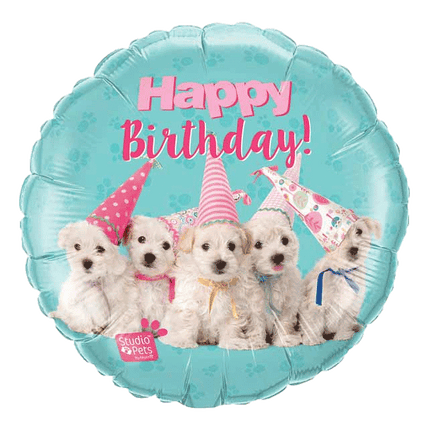 Studio Pets Happy Birthday Balloons sold by RQC Supply Canada located in Woodstock, Ontario Canada
